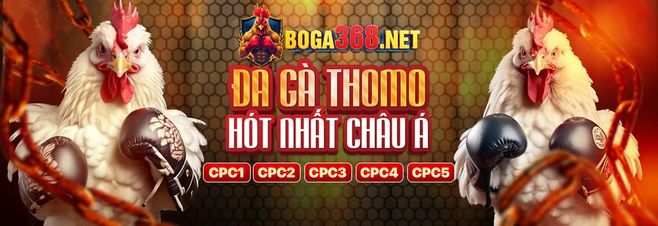 Đá Gà qq88 - Sân đấu trực tuyến