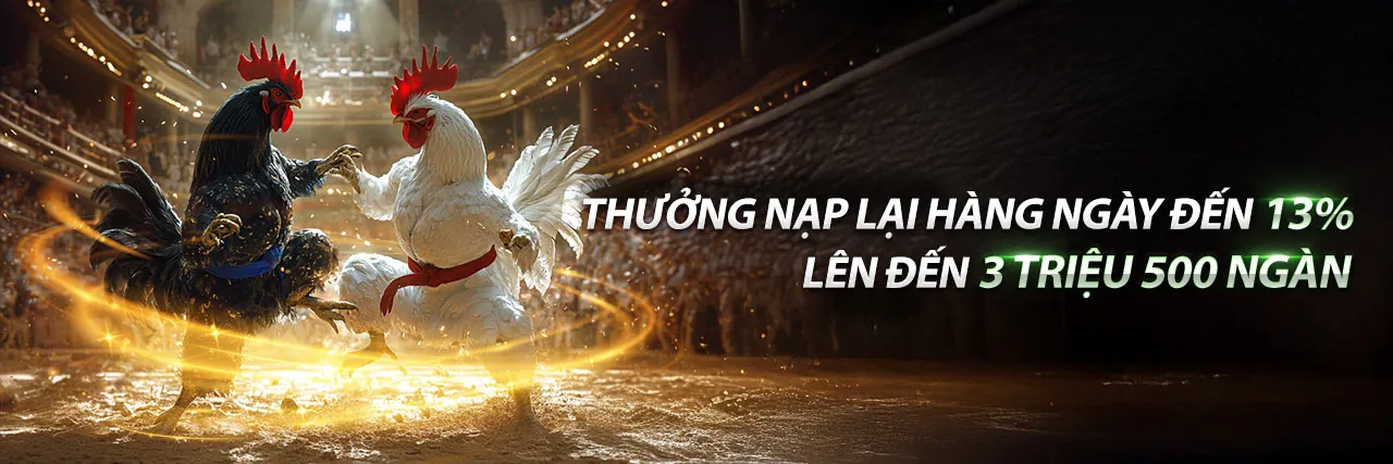 Cá cược có trách nhiệm tại qq88